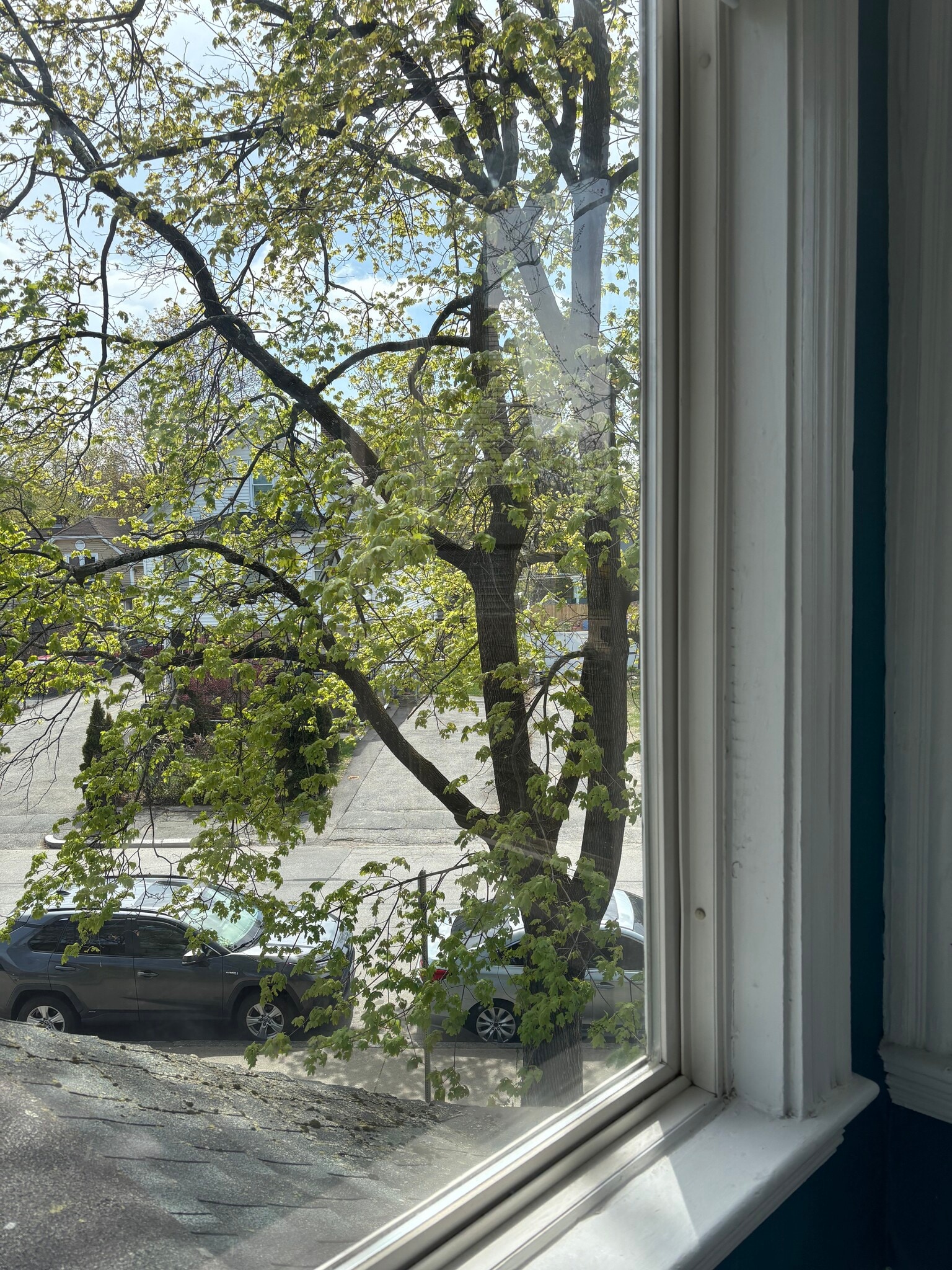 Street View From Window - 16 Eames St