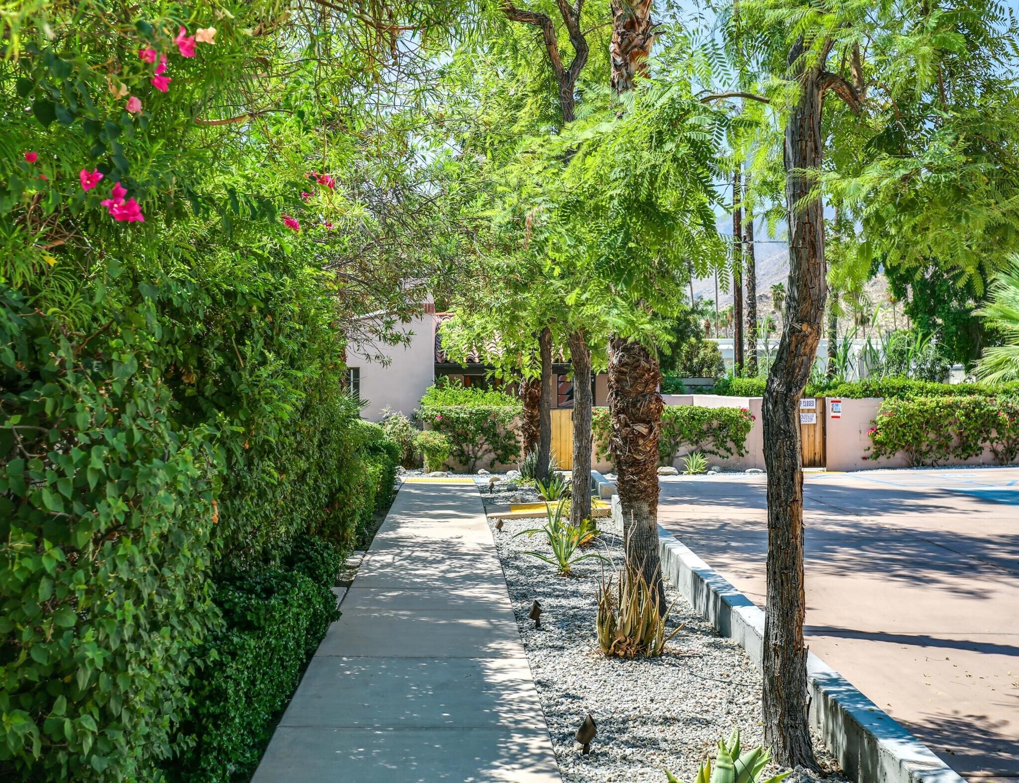 Building Photo - 133 Ocotillo Ave