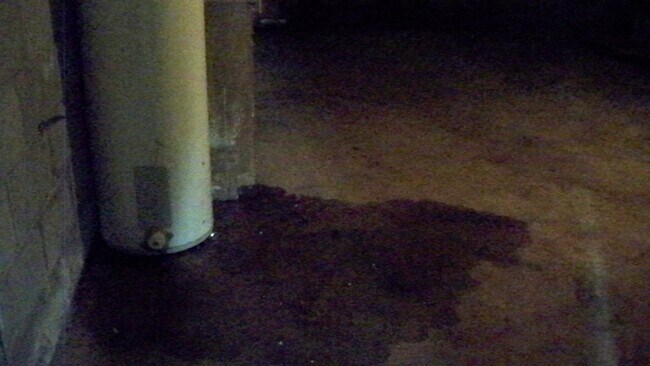 Building Photo - 2716 Wood Dr NE