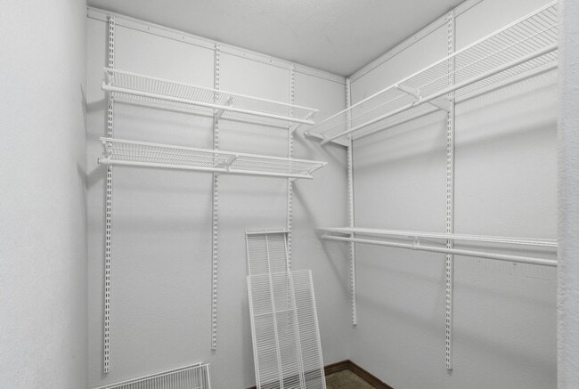 Building Photo - 4 Bed 2.5 Bath Home in Plum Creek of Castle Rock