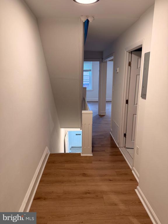 Building Photo - 1431 Wolf St