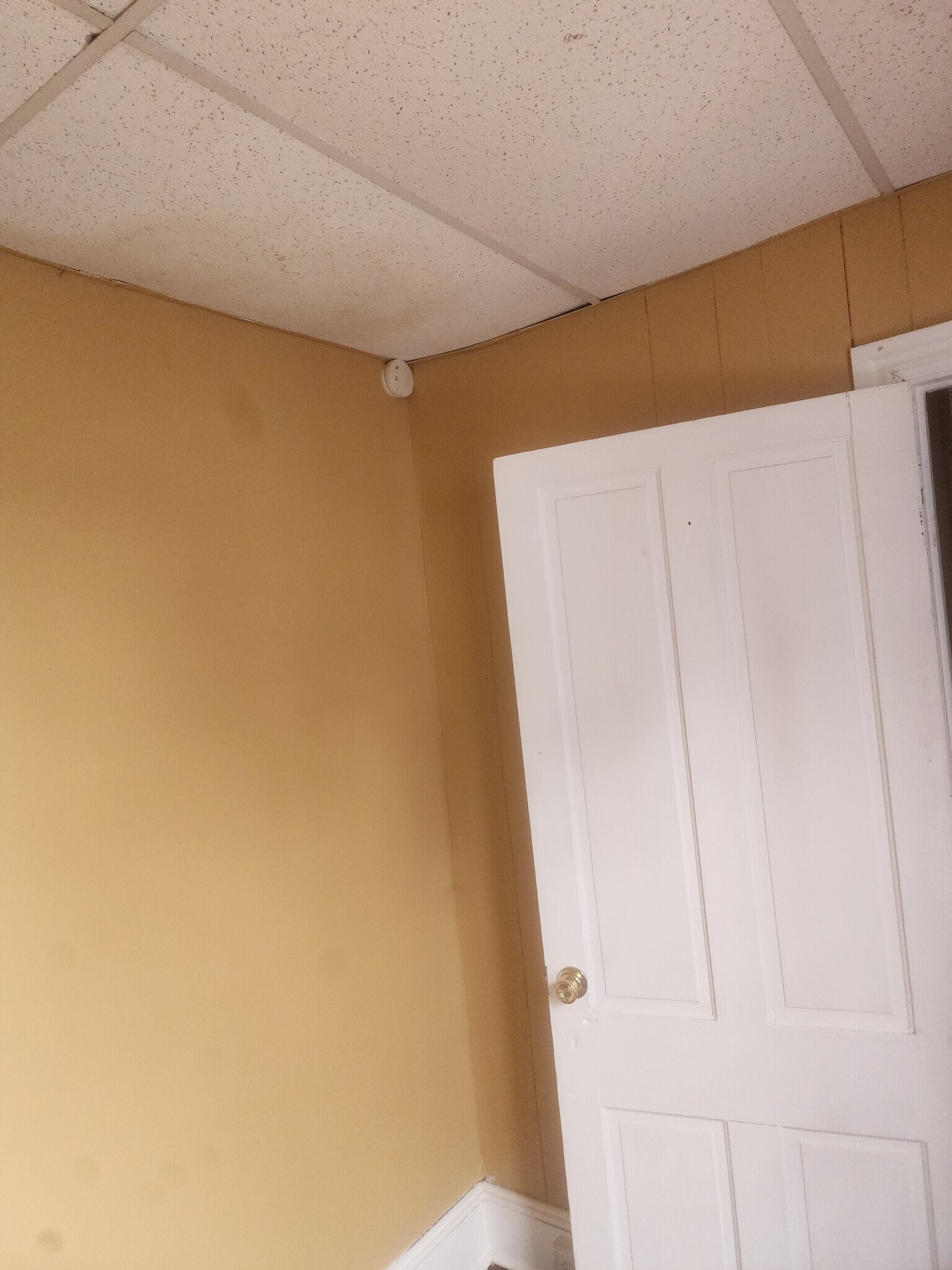 Building Photo - 40 Maple St