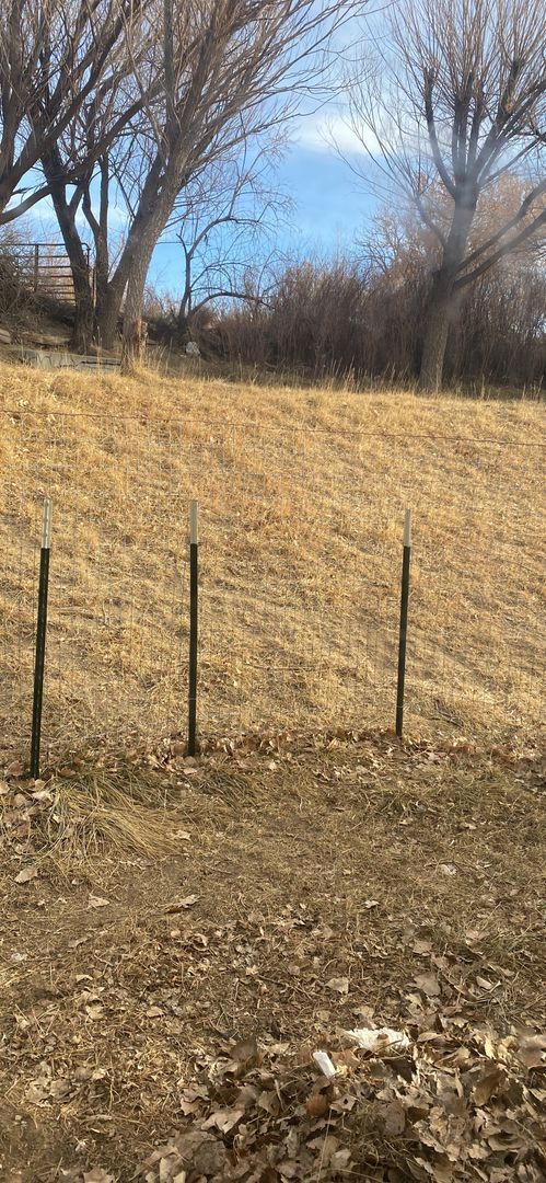 Building Photo - 1406 Saiz Ln