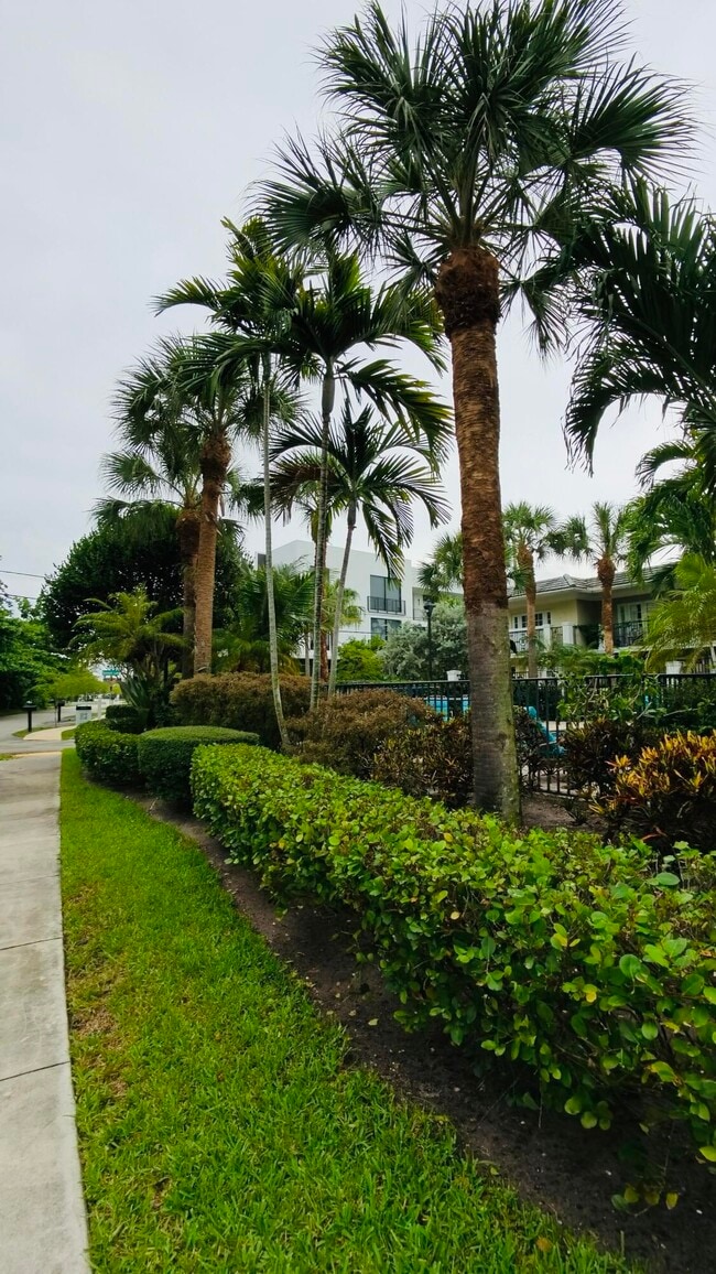 Building Photo - 1000 Palm Trail