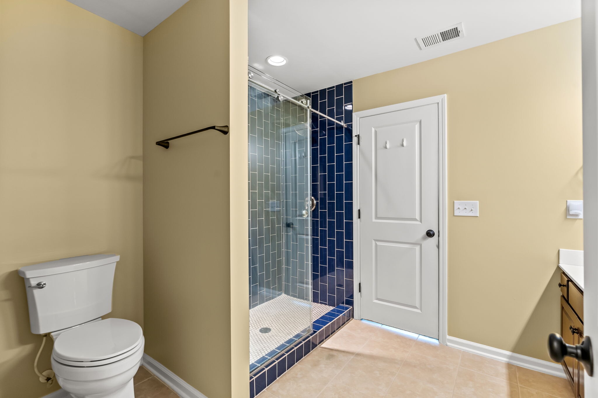 Master Bath - 257 Castle Dr