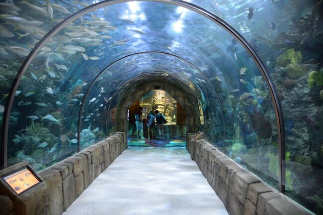 Building Photo - 822 Howard Ave