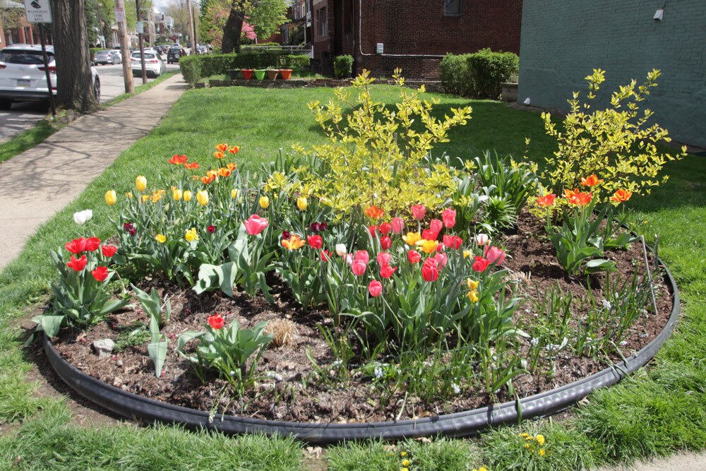 Building Photo - 620 West St