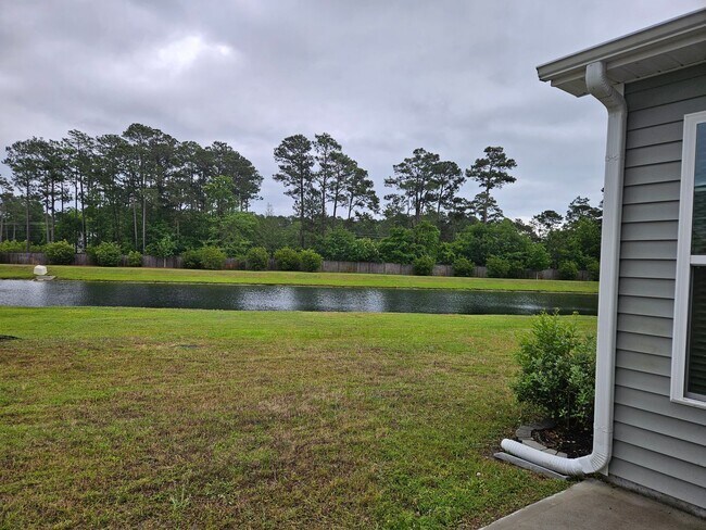 Building Photo - Beautiful 4 bedroom, 2.5 Bath unfurnished home located in Songbird Landing Community - Hampstead