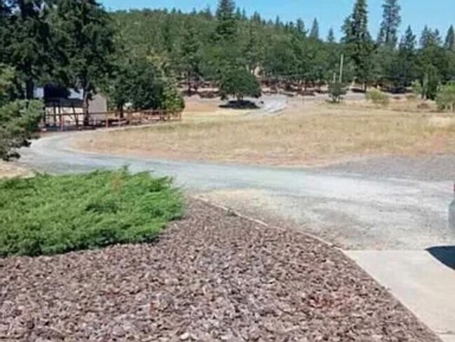 Primary Photo - Country Living at it's best