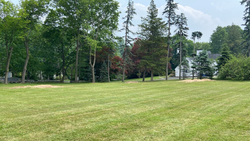 Wide open garden to play in - 18 Lincoln Ave