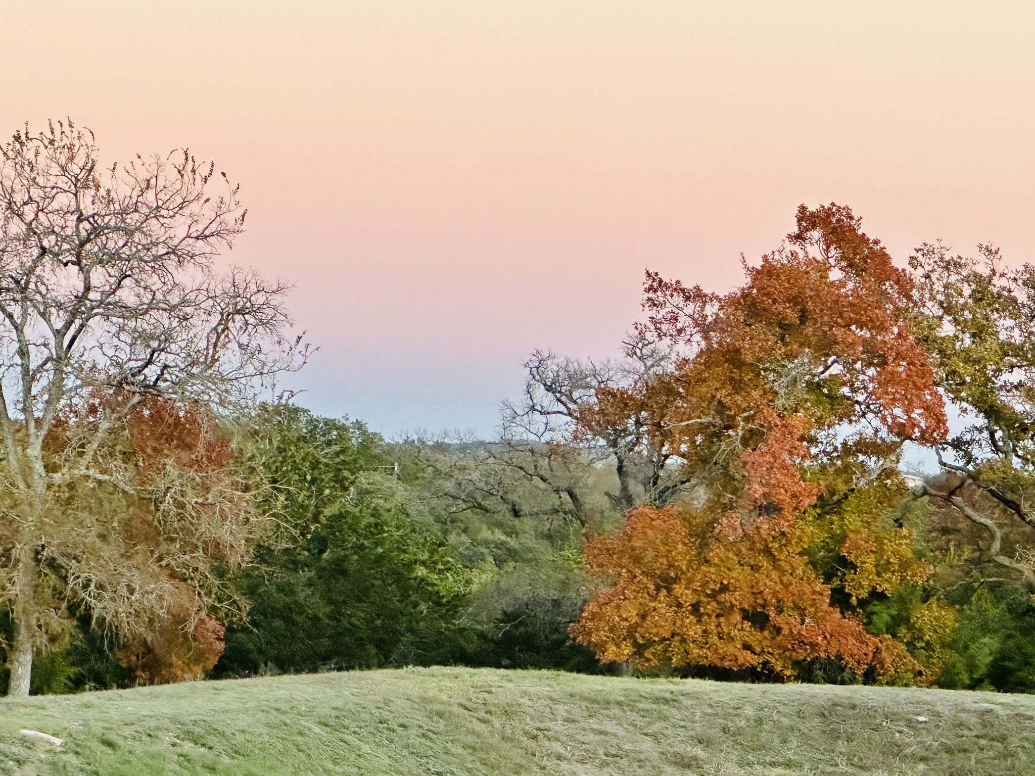 East view from back deck - 429 Pink Granite Blvd