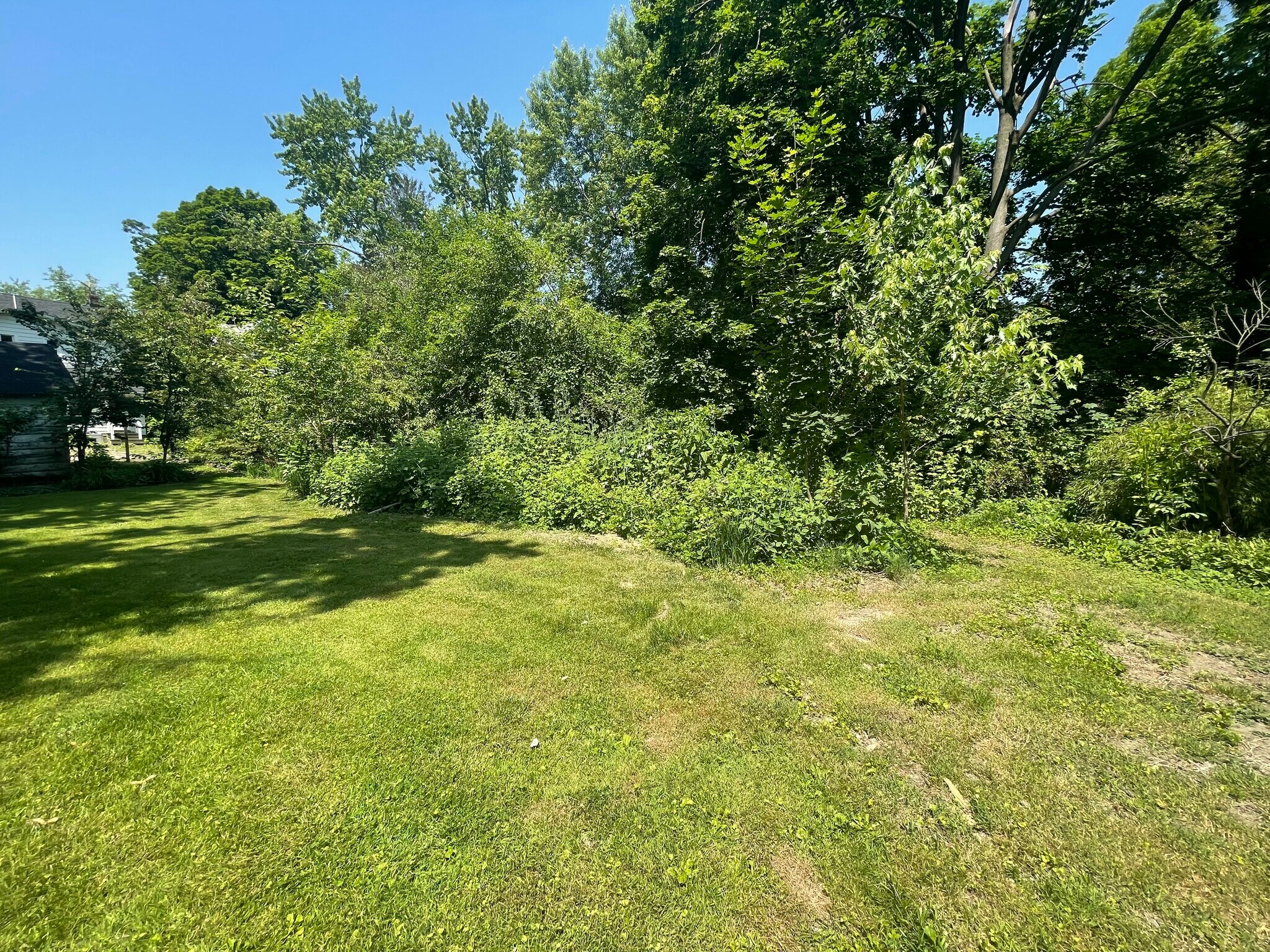 Backyard - 210 Mannion Ave