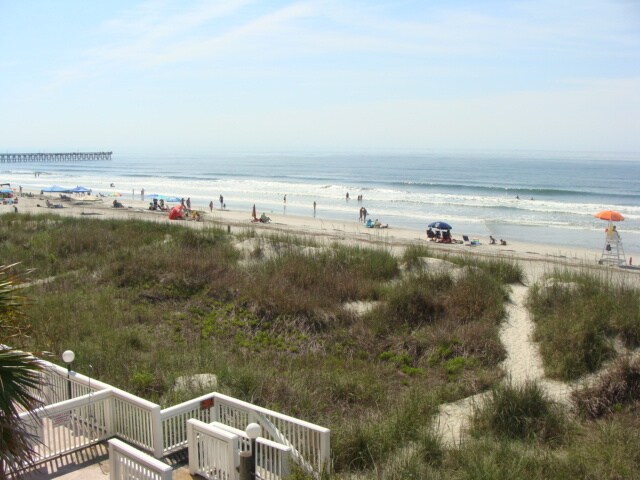 Building Photo - Oceanfront Pet-friendly Winter Rental! Available Now through April 30, 2026.