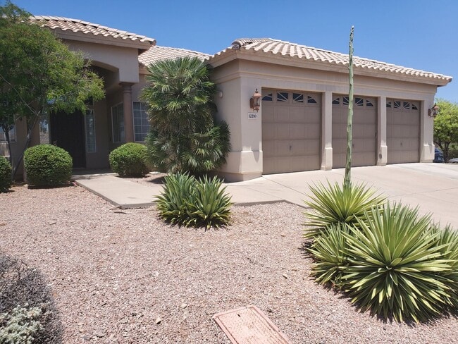 Building Photo - 4 bd 2.5 bth north east scottsdale home with pool