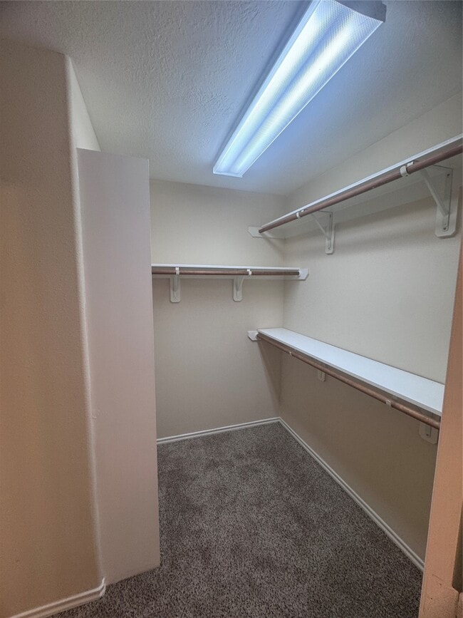 Building Photo - 6213 Stoney Creek Dr