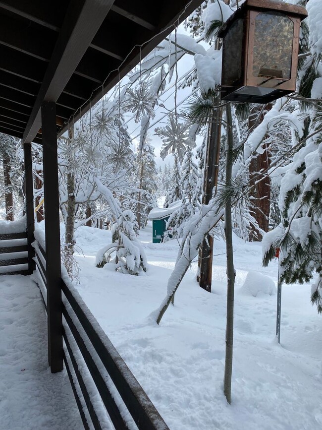 Building Photo - Adorable Al Tahoe ADU Cabin with Great Mea...