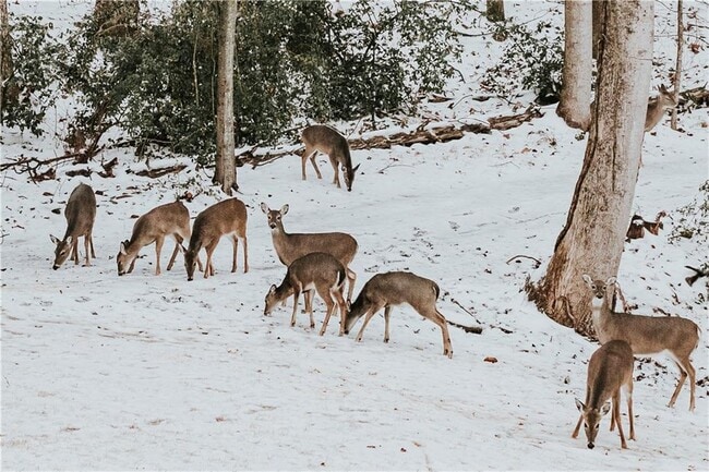 Building Photo - 8885 Bay Dr