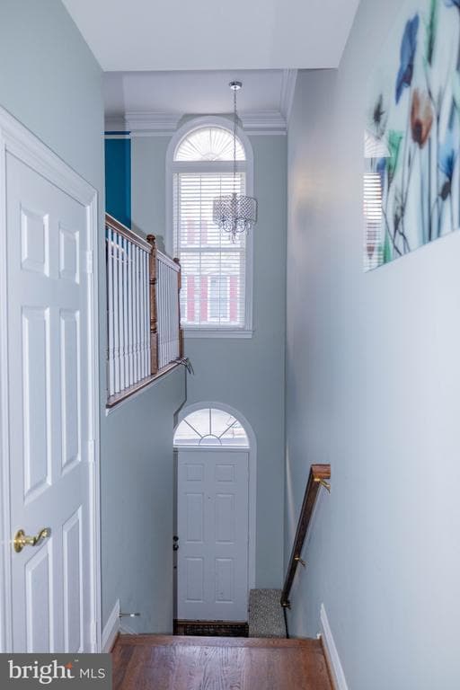 Building Photo - 4212 Timber Meadow Dr