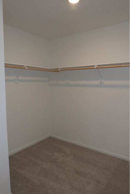 Building Photo - 5122 Red Drum Dr