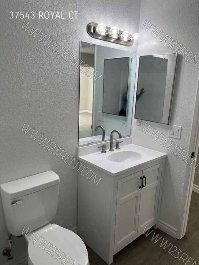 Building Photo - 37543 Royal Ct