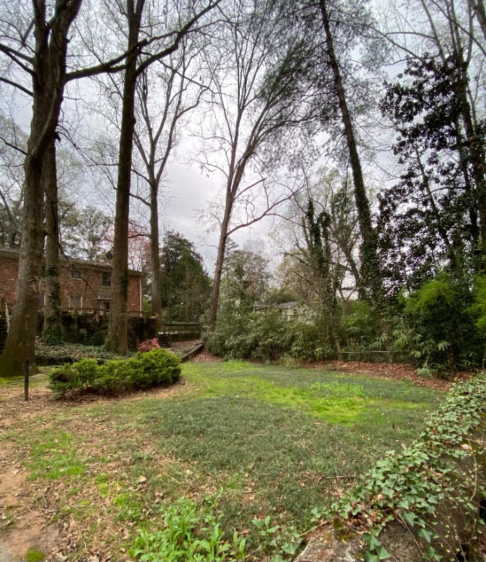 Building Photo - 2071-2073 E Roxboro Rd NE