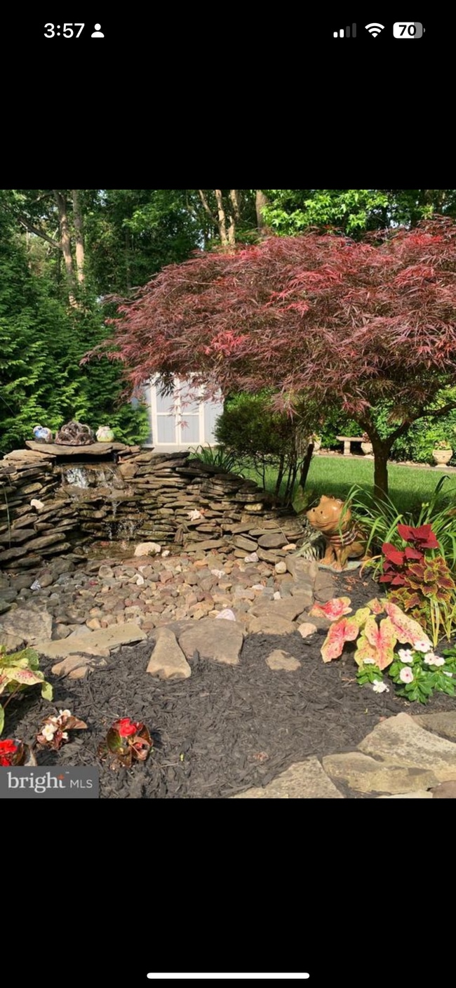 Building Photo - 6610 Cottontail Ct