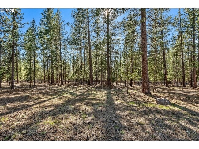 Building Photo - Charming Historic 2 Bed Home + Bonus Room ...