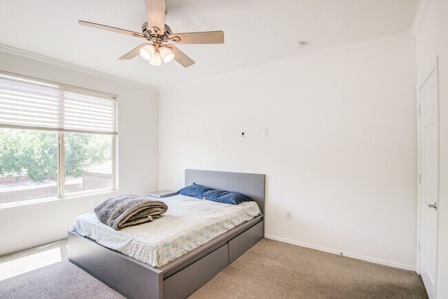 Building Photo - ASU Stay at Regatta Pointe!