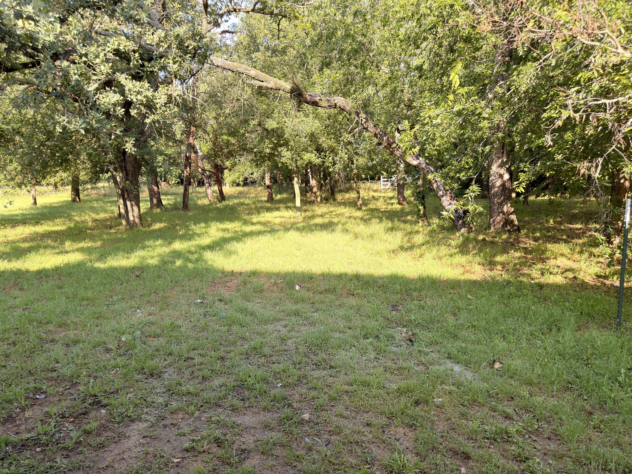 Backyard - 100 Morgan Meadows Dr