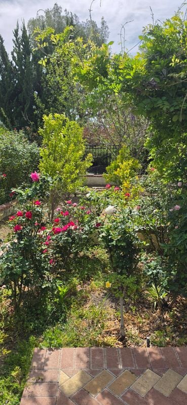 Building Photo - 28915 Hollow Brook Ave