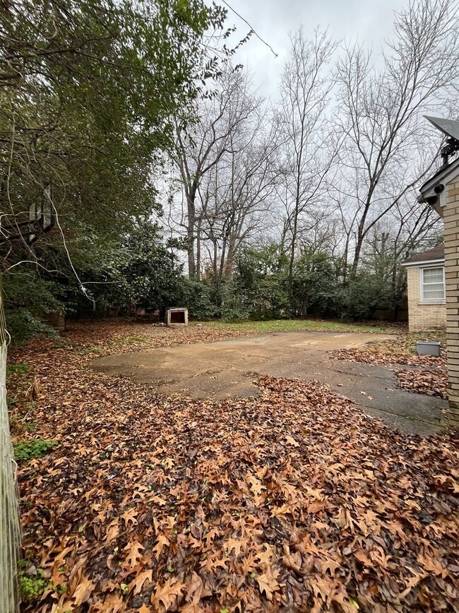 Building Photo - Newly Renovated Unit in Heart of Memphis