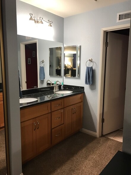 Master bath sink area - 13611 Sycamore Tree Lane