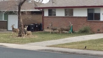 Building Photo - 760 33rd St