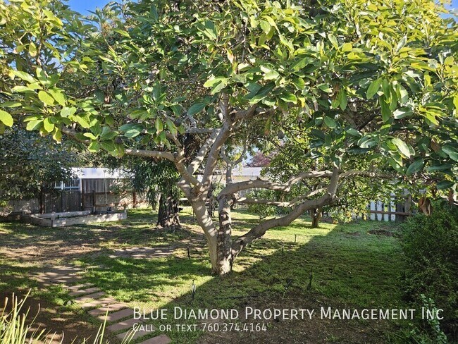 Building Photo - 259 Santa Clara Dr