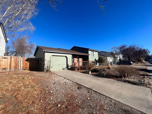 Primary Photo - Beautiful Home in West Fort Collins