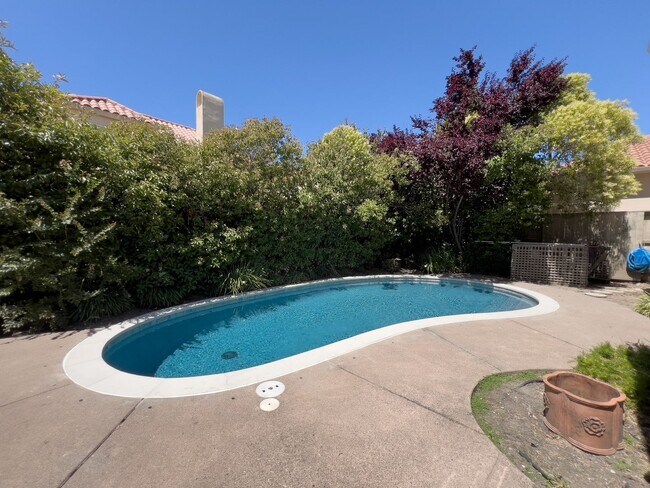 Building Photo - Gorgeous three bedroom North Napa home wit...