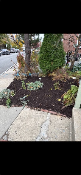 Freshly landscaped and mulched - 155 Sheldon Ln