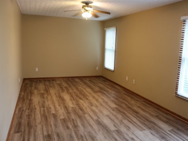 Building Photo - 281 Iris Trail Dr