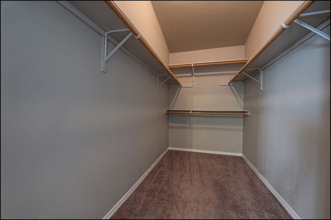 Building Photo - Available now!