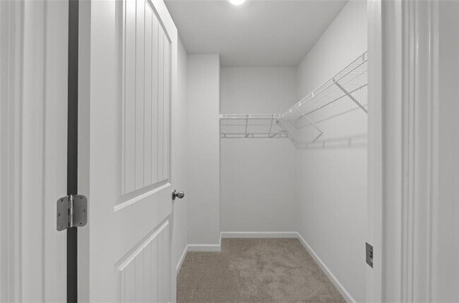 Building Photo - 2203 Blue Monarch Dr