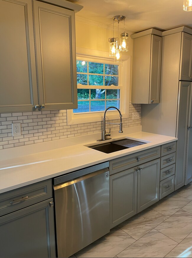 Fully renovated kitchen complete with high-end finishes - 1138 Western Ave