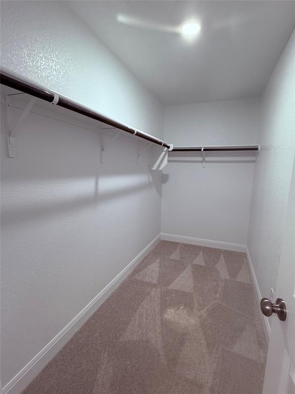 Building Photo - 513 Senca Pk