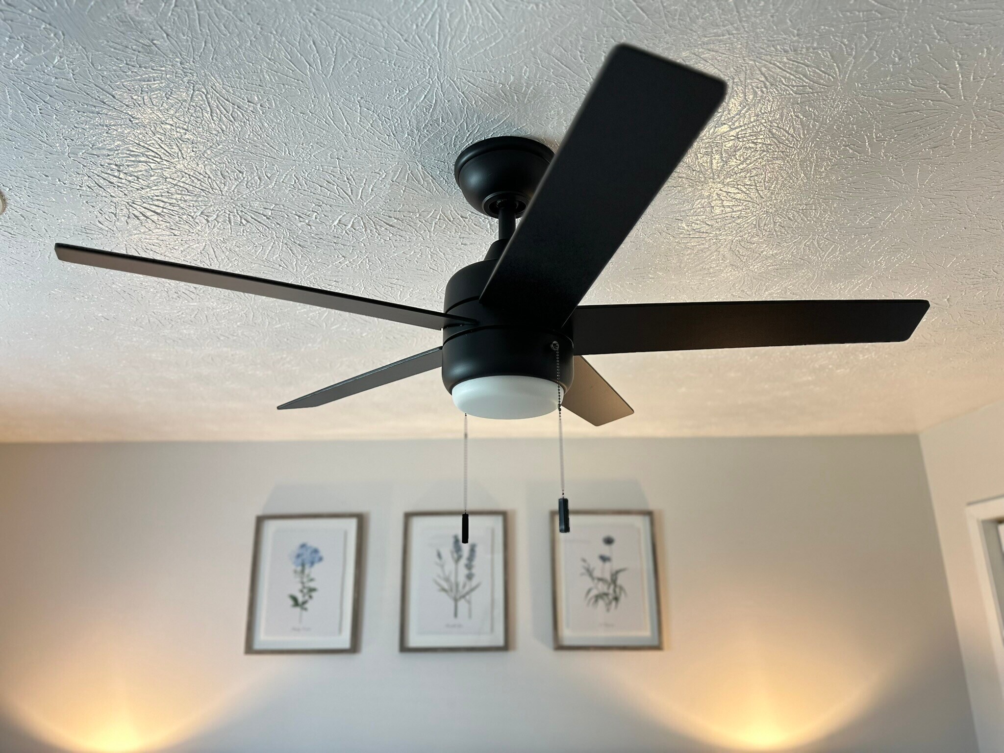 Building Photo - 1294 Old Newport Hwy