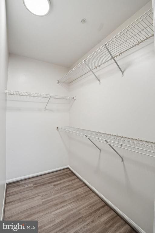 Building Photo - 10718 Kitchener Ct