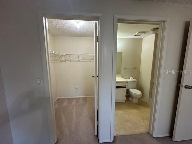 Building Photo - 130 Sabal Ct