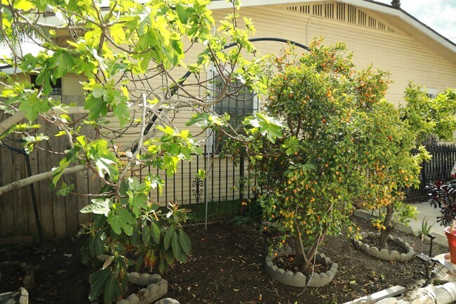 Building Photo - 4517 33rd St