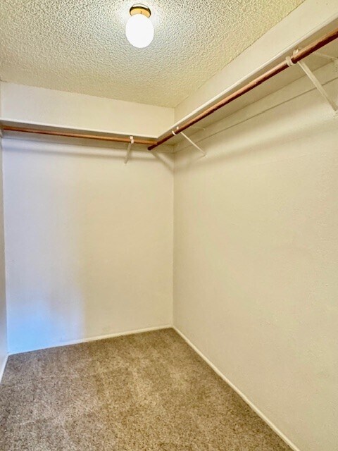 Building Photo - 5425 Concord Blvd