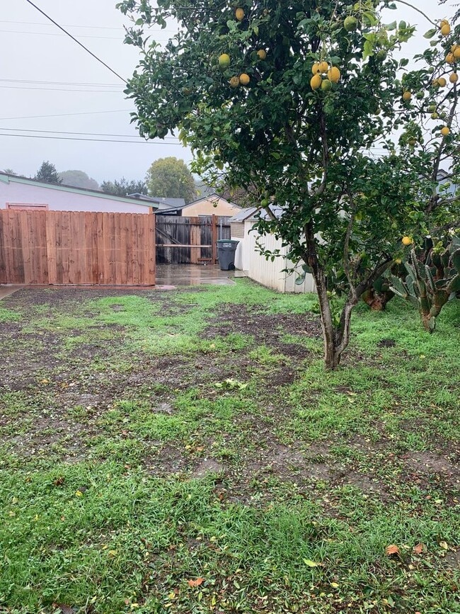Building Photo - Three Bedroom Single Family Home