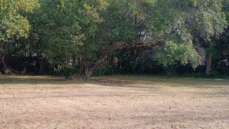 Building Photo - 1844 Christian Ave