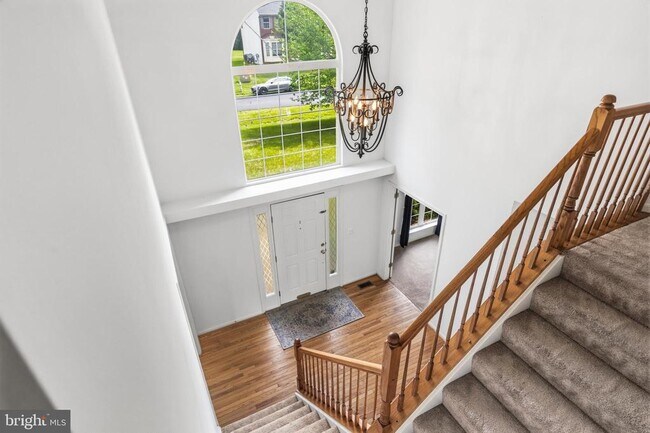 Building Photo - 11117 Stainsby Ct